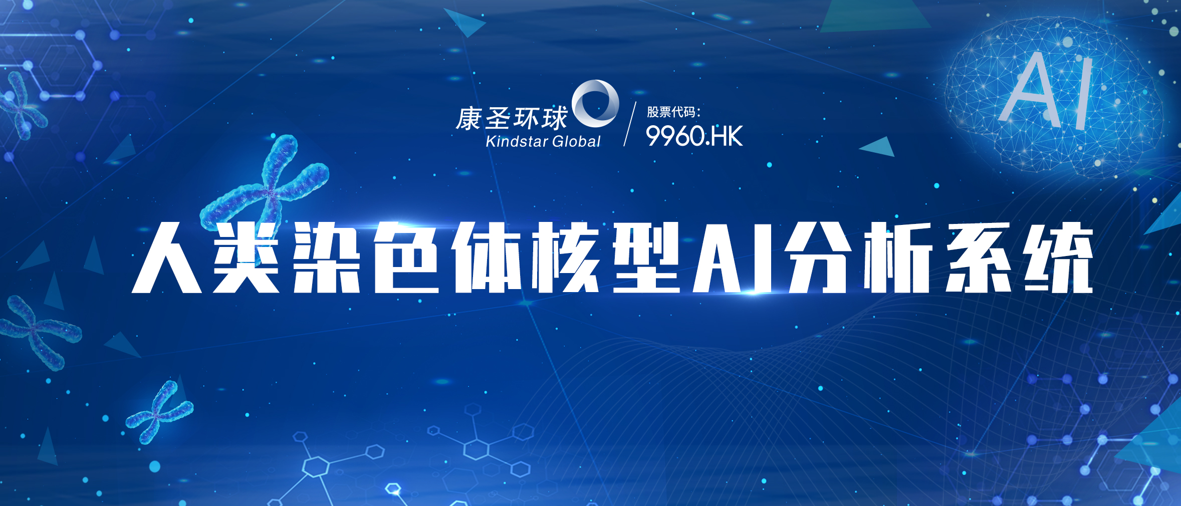 自主研发丨当AI遇上染色体核型分析