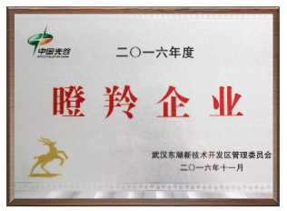 2016年度瞪羚企业