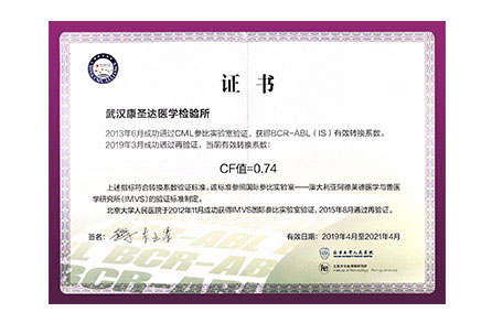 武汉BCR-ABL有效转换系数证书